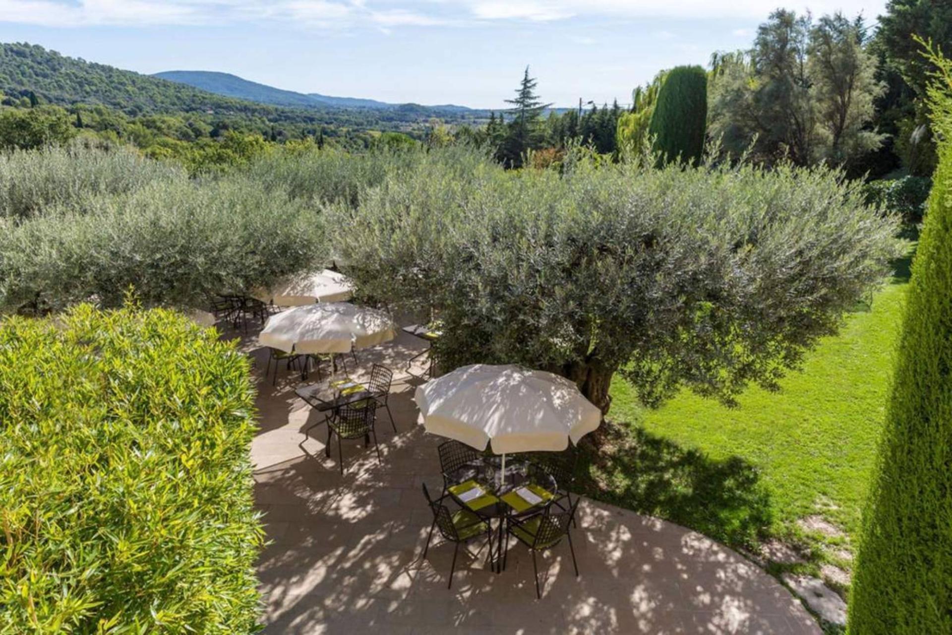 Terrasse sous les oliviers